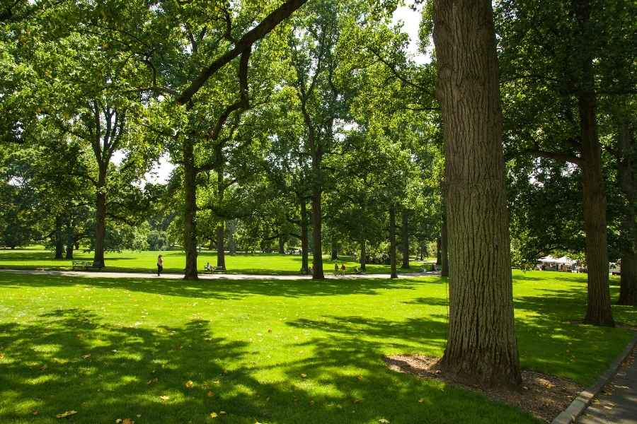 Un grand parc boisé idéal pour aménager un petit espace vert inspirant.